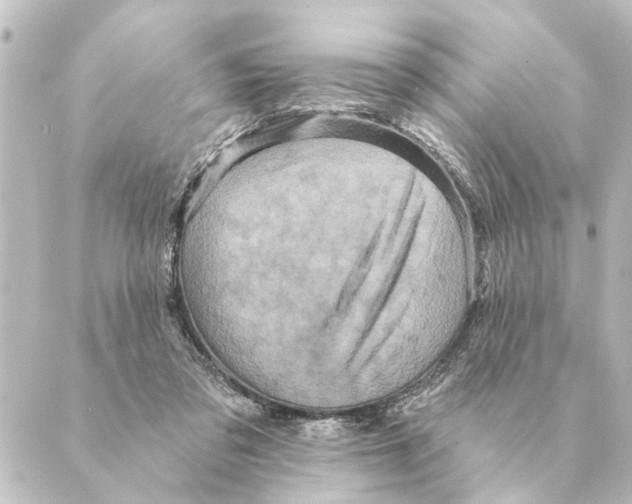 X0000088630309200706221527