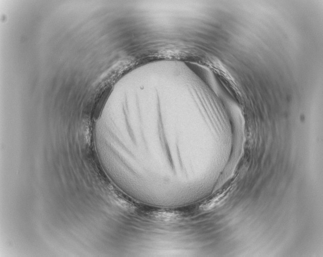 X0000088630313200706221527