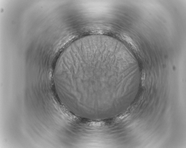 X0000088630314200706221527