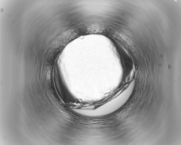 X0000088630315200706221527