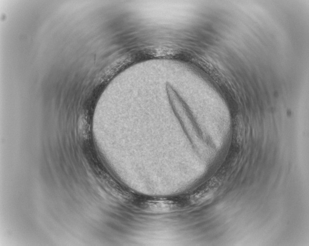 X0000088630316200706221527