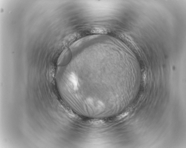 X0000088630322200706221527