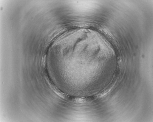 X0000088630325200706221527