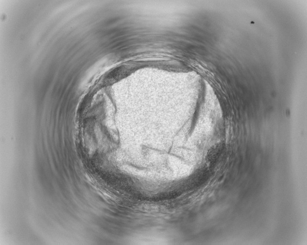 X0000088630339200706221526
