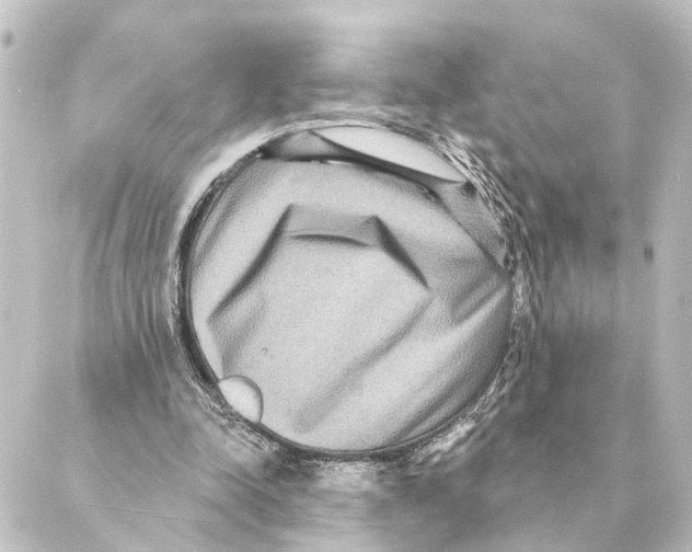 X0000088630342200706221526