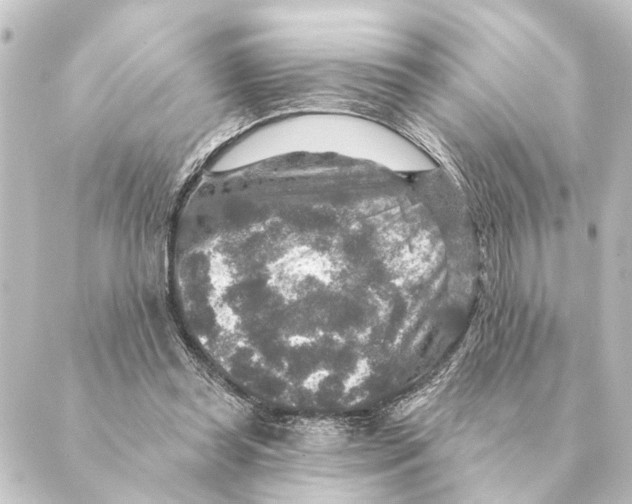 X0000088630349200706221526