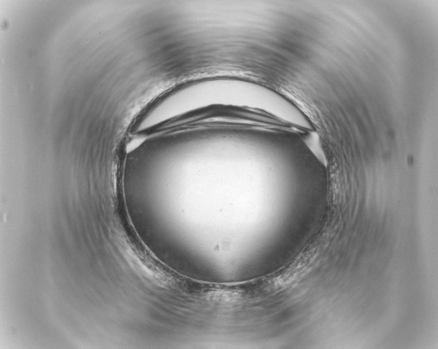 X0000088630350200706221526