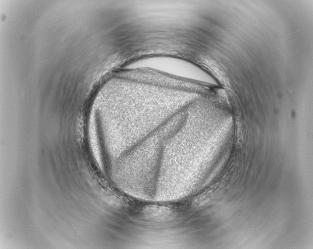 X0000088630354200706221526