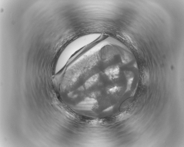 X0000088630366200706221526