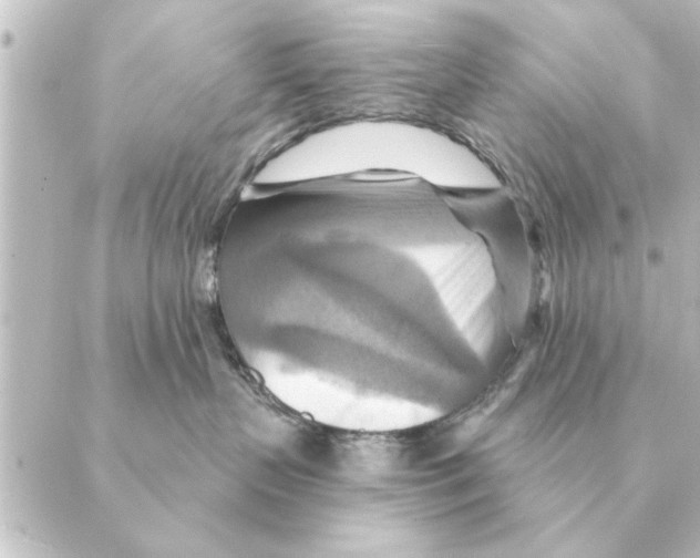 X0000088630383200706221526