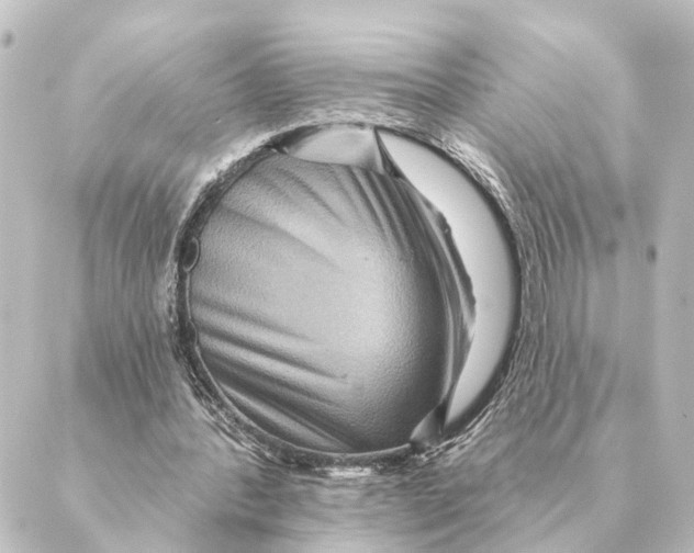 X0000088630388200706221526