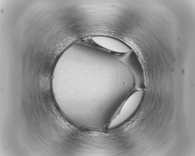 X0000088630393200706221525