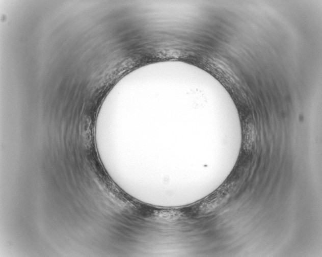 X0000088630414200706221525