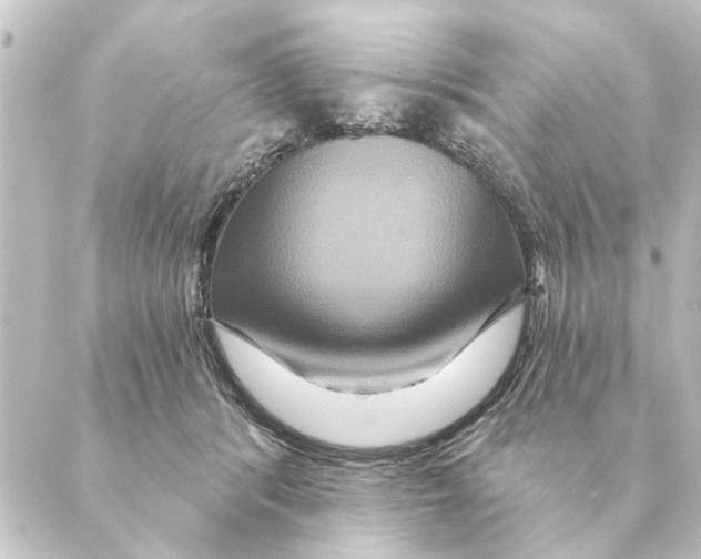 X0000088630416200706221525