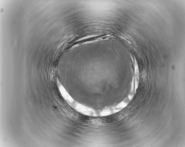 X0000088630423200706221525