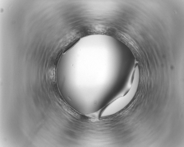 X0000088630425200706221525