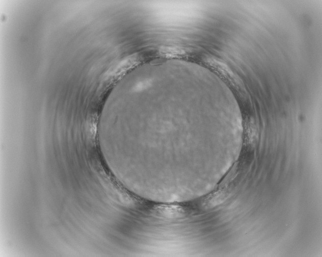 X0000088630427200706221525