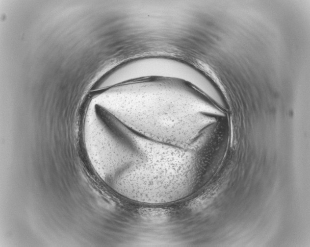 X0000088630435200706221524