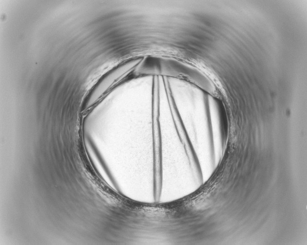 X0000088630437200706221524