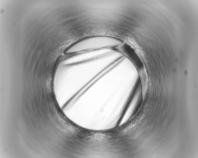 X0000088630441200706221524