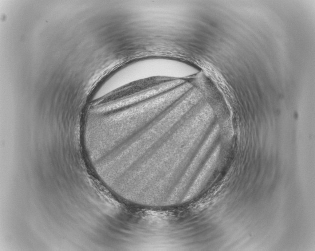 X0000088630442200706221524
