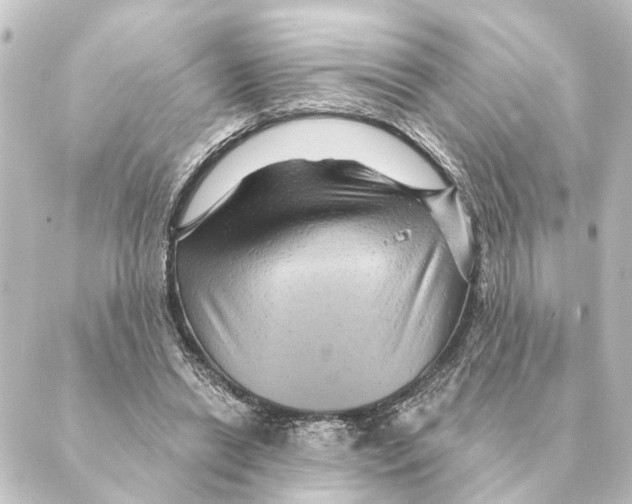X0000088630446200706221524