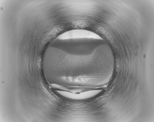 X0000088630451200706221524