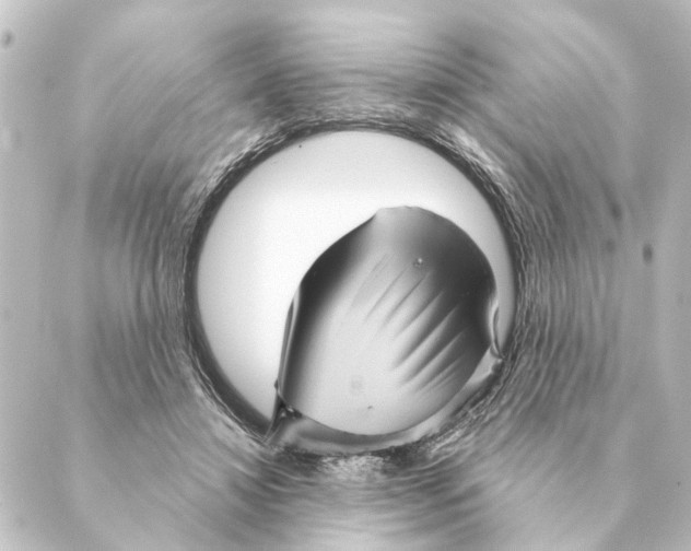 X0000088630452200706221524