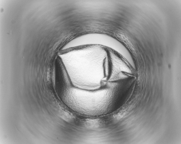 X0000088630457200706221524