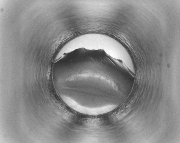 X0000088630458200706221524