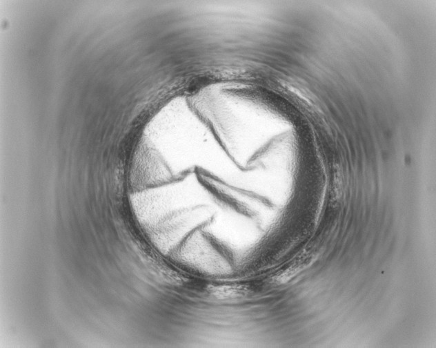 X0000088630461200706221524