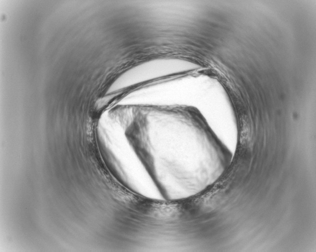 X0000088630469200706221525