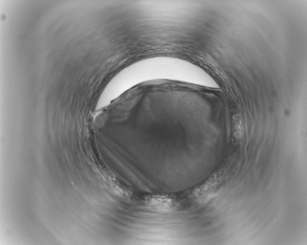 X0000088630471200706221525