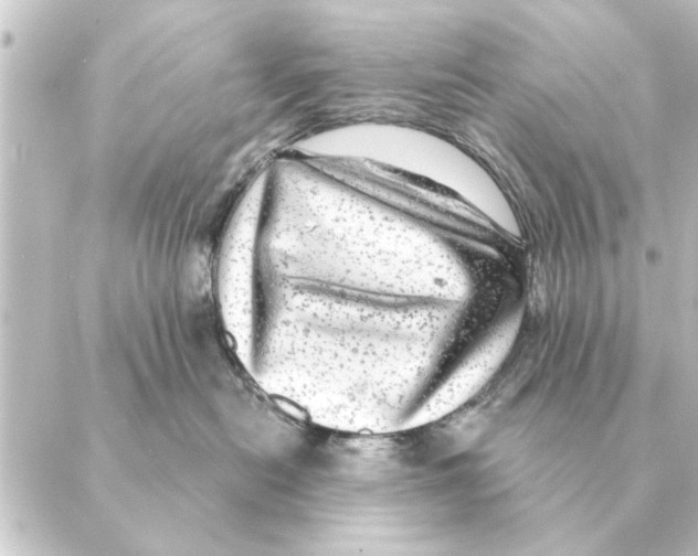 X0000088630478200706221525