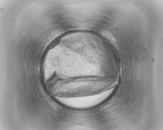 X0000088630483200706221524