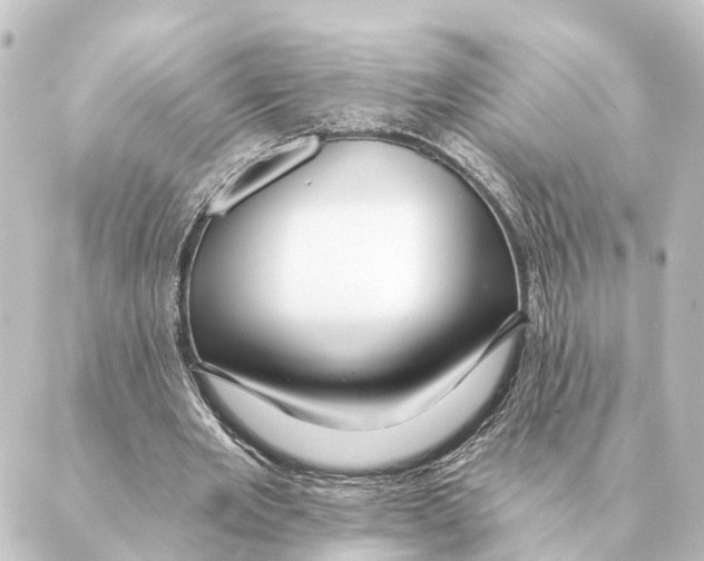 X0000088630485200706221524