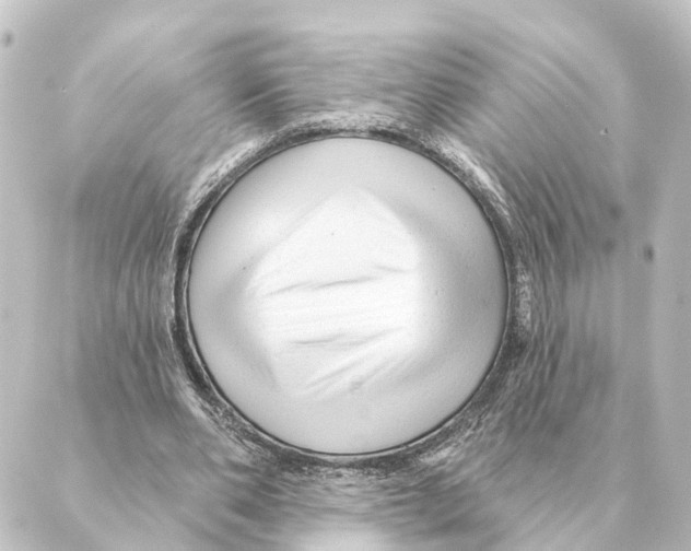 X0000088630486200706221524