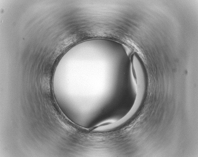 X0000088630489200706221524