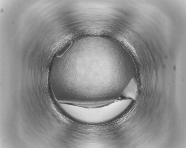 X0000088630493200706221524