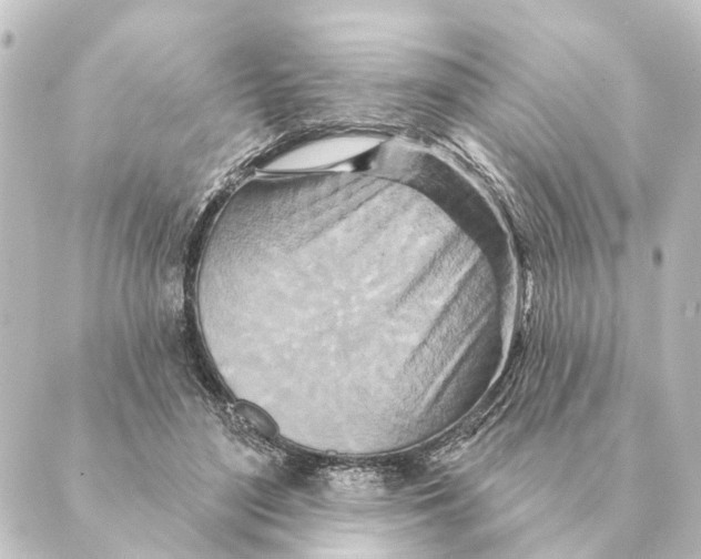 X0000088630500200706221524