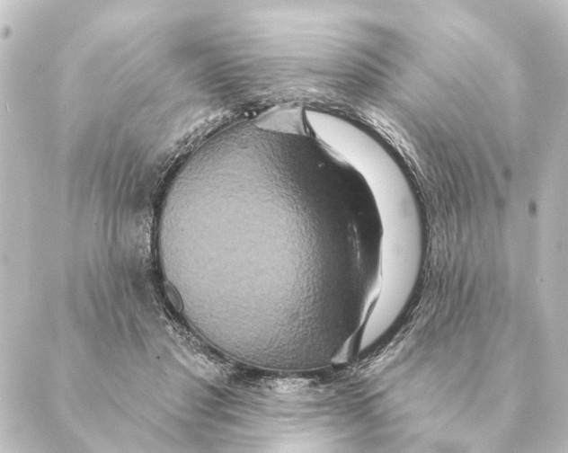 X0000088630501200706221524