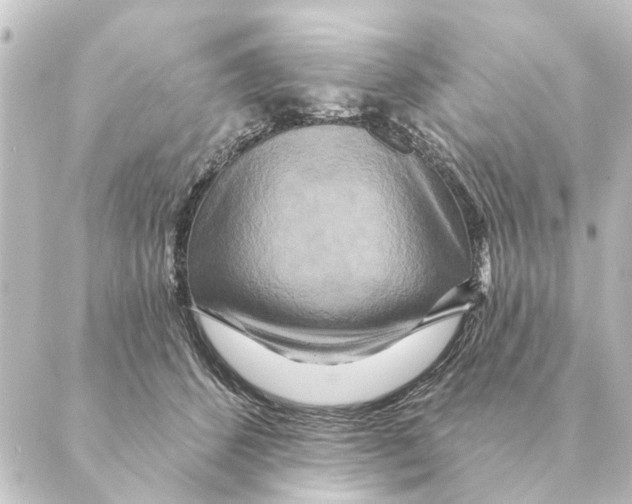 X0000088630512200706221524