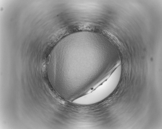X0000088630513200706221524