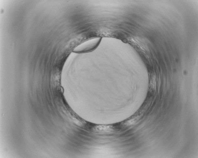 X0000088630526200706221523