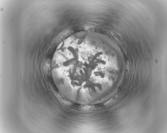 X0000088630527200706221523