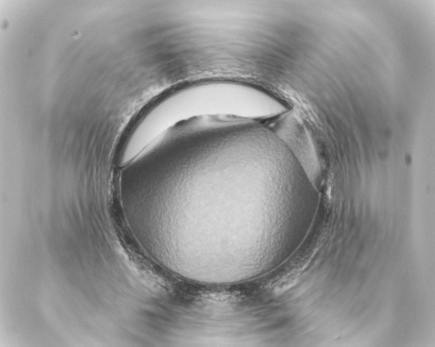 X0000088630540200706221523