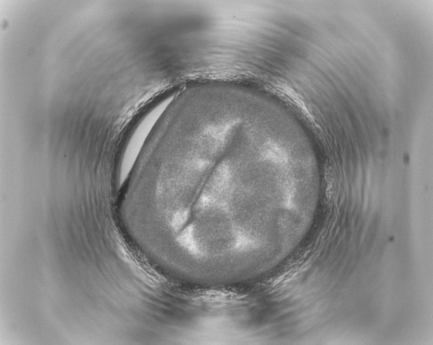 X0000088630542200706221523