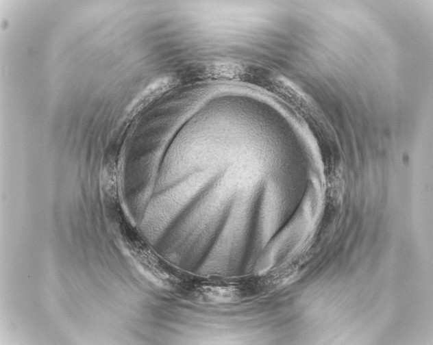 X0000088630552200706221523