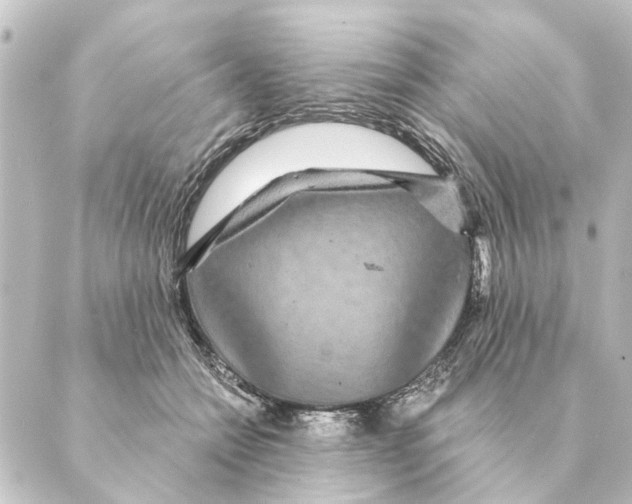 X0000088630558200706221523