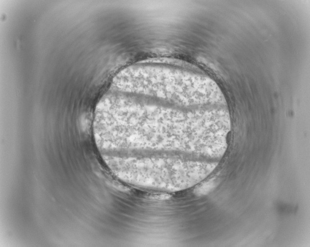 X0000088630576200706221523